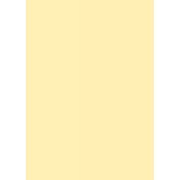 Папір для дизайну Tintedpaper А4 (21*29,7см), №11 блідо-жовтий, 130г/м, без текстури, Folia 579332 фото
