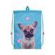 Сумка для взуття Kite Education Studio Pets (SP21-600M-1) 01186675 фото 1