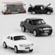 Машинка TK 2572 (96/2) 2 вида, металлопластик, масштаб 1:32, подсветка фар, звук, инерция, открываются двери, багажник, капот, в 01205482 фото 1