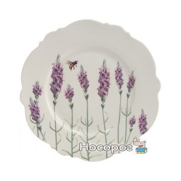 Тарелка обеденная Astera Lavander 26.5 см (A0580-S2-24) 925657 фото
