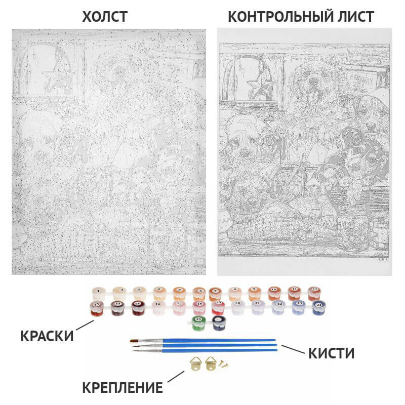 Заказать фотографию по номерам свою